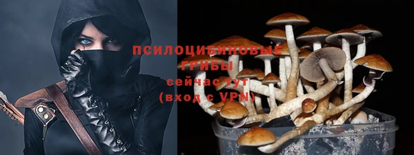 эйфоретик Богородск