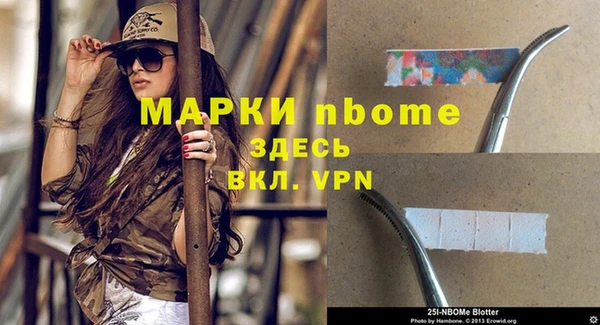 хмурый Богородицк