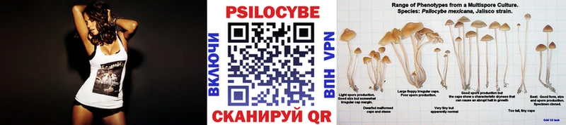 магазин продажи наркотиков  hydra сайт  Галлюциногенные грибы MAGIC MUSHROOMS  Ессентукская 
